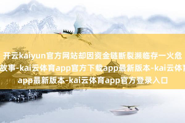开云kaiyun官方网站却因资金链断裂濒临存一火危险——这不是诬捏的故事-kai云体育app官方下载app最新版本-kai云体育app官方登录入口