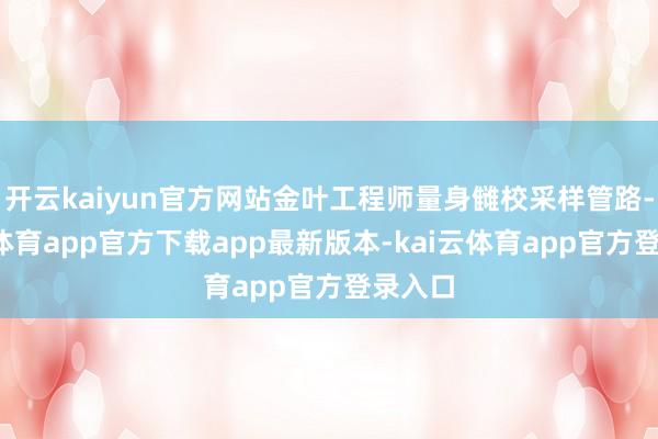 开云kaiyun官方网站金叶工程师量身雠校采样管路-kai云体育app官方下载app最新版本-kai云体育app官方登录入口